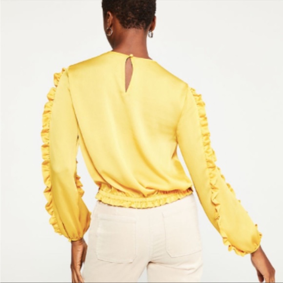 NWT Ann Taylor Ruffle Blouse with Cinched Hem - Picture 2 of 8